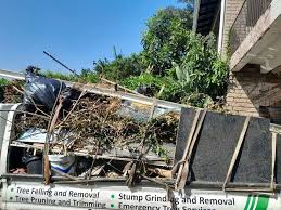 Best Residential Junk Removal  in Ladera, CA